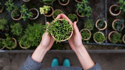 Woman holding green plant in her hands