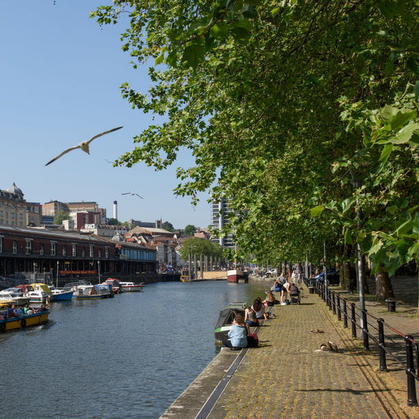 Bristol harbourside, trees and promenade on a sunny summer's day.