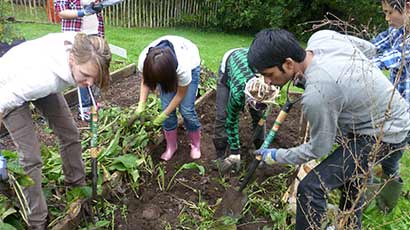 Volunteers helping in a community garden.