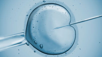 Artificial insemination of an egg by researchers