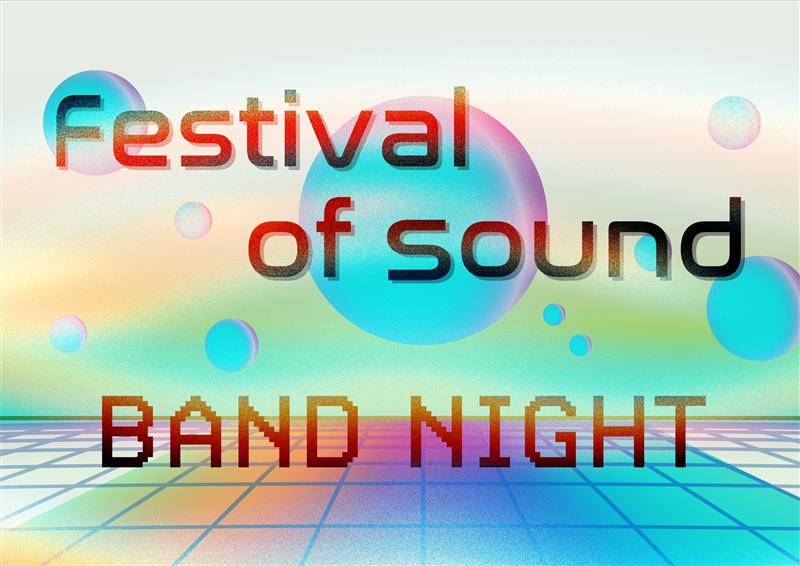 Image with Festival of Sound Band Night