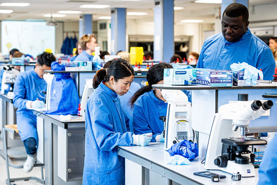 Students working in a laboratory using microscopes