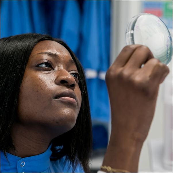 A student inspecting a dish in a lab.