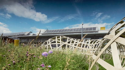 R block with solar panels and wild flowers