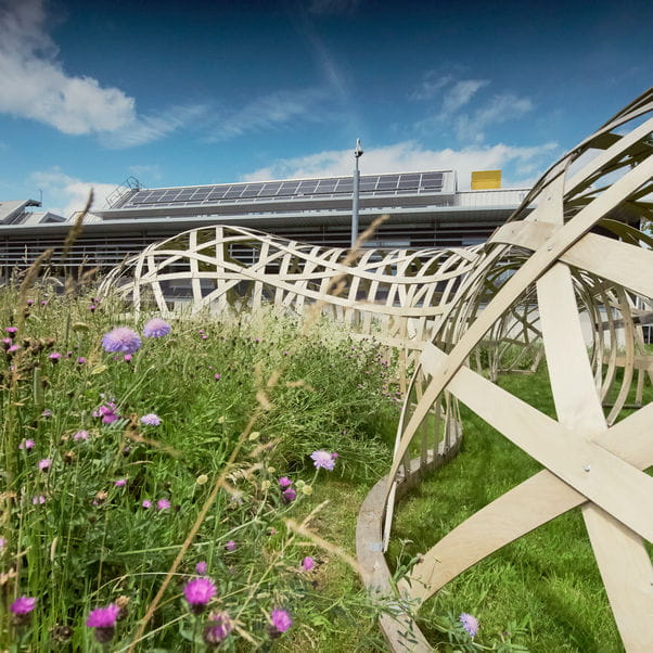 R block with wild flowers and solar panels