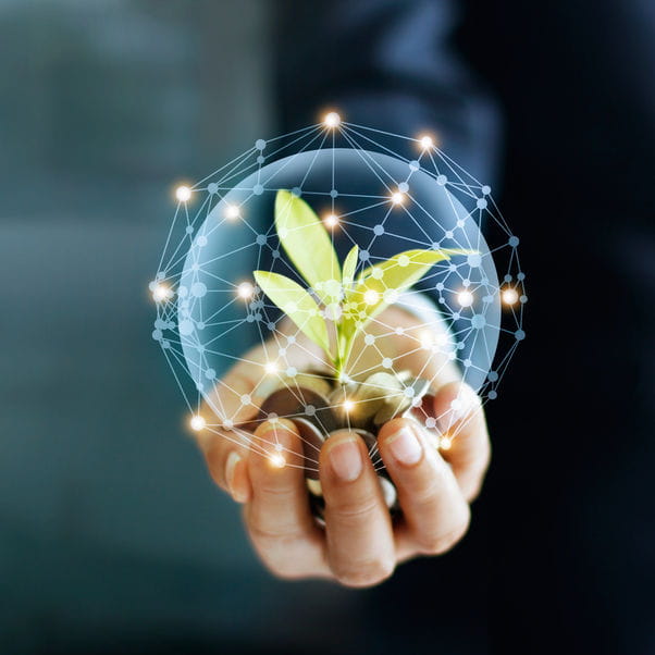 Man holding a plant with coins around it