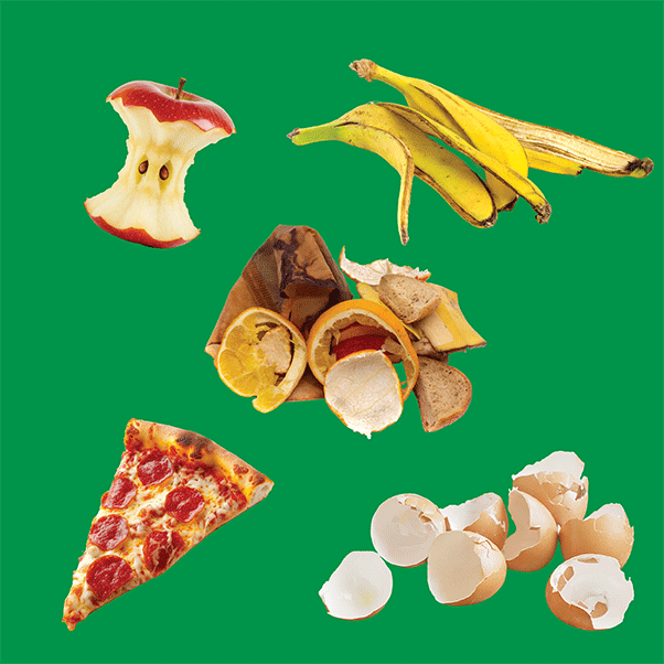 A selection of food items that can be placed in food waste, including fruit peel and nut shells.