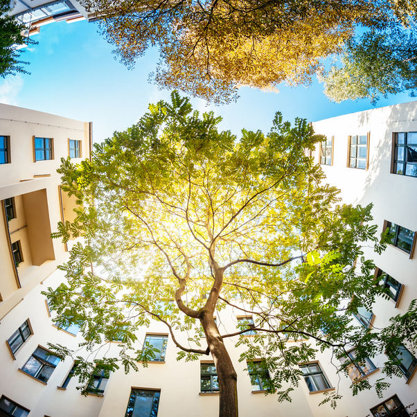 A housing block with a tree 