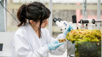 Student researches plants in the Environtron