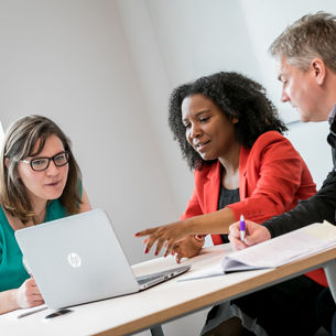 Professionals in a meeting