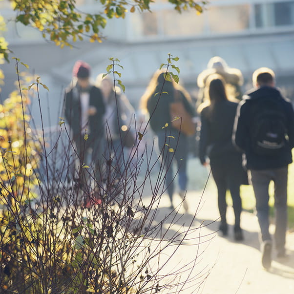 Groups of students walking along a campus path on a misty but sunny day.