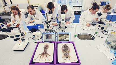 Bio-sciences students in a lab