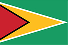 Guyana country flag.