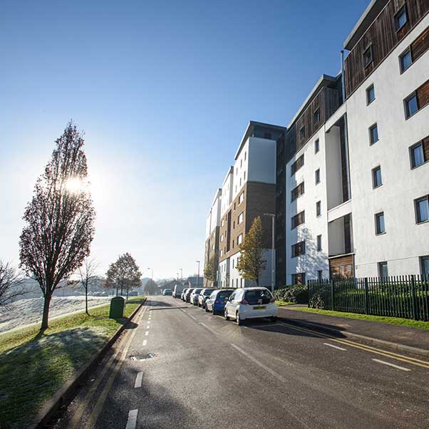 A road with parked cars on Frenchay Campus.