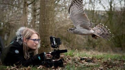Wildlife Filmmaking student out in the woods, photographing a bird of prey up close.