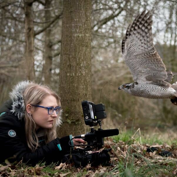 Wildlife Filmmaking student out in the woods, photographing a bird of prey up close.