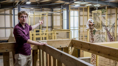 A wildlife conservation student gesturing towards a giraffe in an enclosure at Bristol Wild Place.