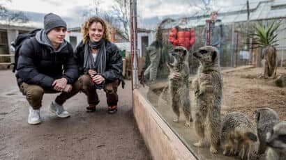 Two Wildlife Conservation students observing Meerkats in an enclosure.