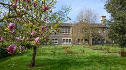 The community garden at Glenside Campus.