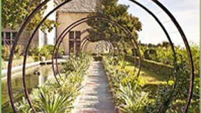 A garden view
