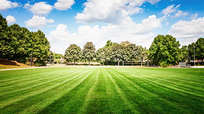 A lush green playing field, surrounded by trees with football goal at end.