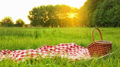 A picnic blanket and basket lying on grass with trees and the setting sun in the background.