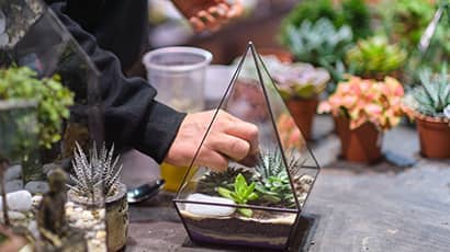 A person placing a plant in to a terrarium they are making. There are a selection of small plants in the background.