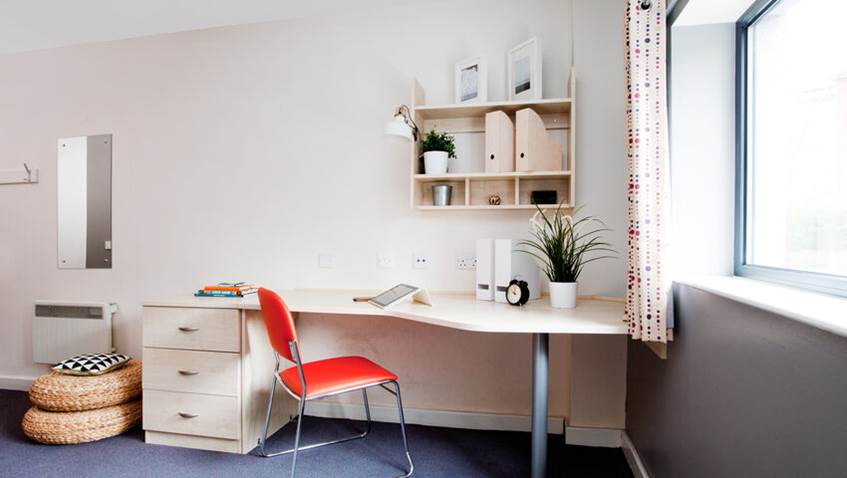 A desk in a student room filled with study books and house plants.
