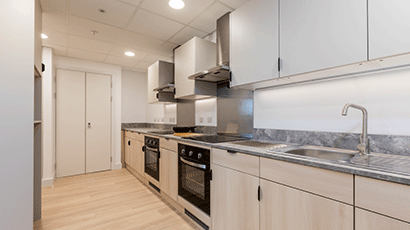 A kitchen workspace at Kingfisher Court including sink and ovens.