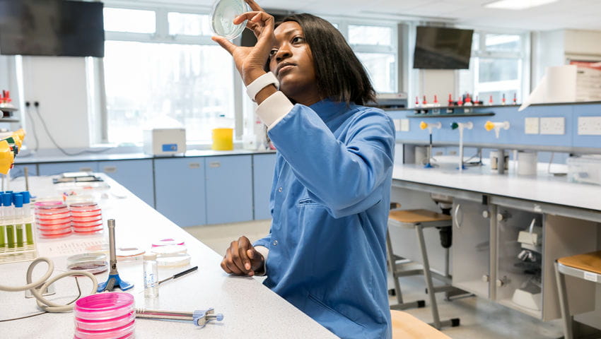 scientist looks at petri dish