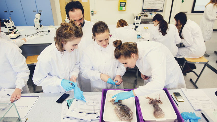 Students inspect sea creatures