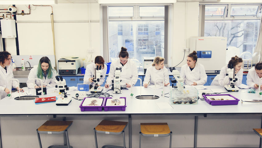 lab with students