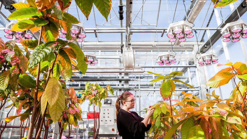 Student in The Environtron greenhouse