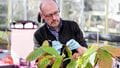 Man inspecting plant