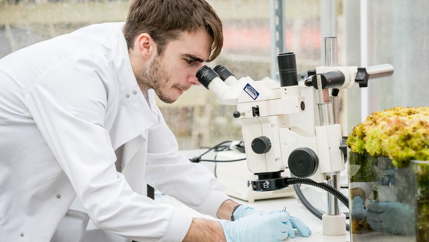 Student looking at microscope