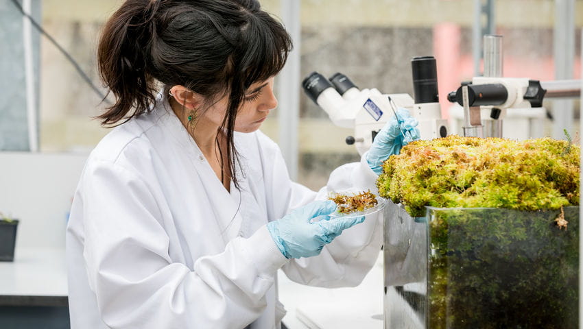 Student collecting mossy plant