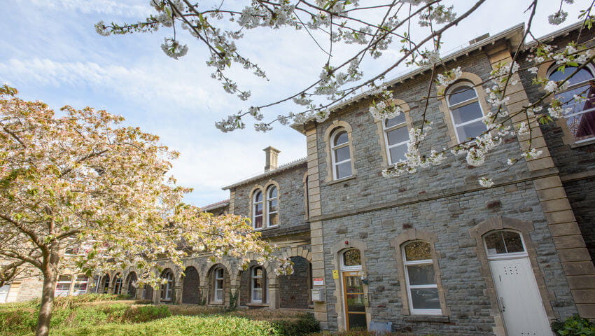 Glenside campus exterior with tree blossoms