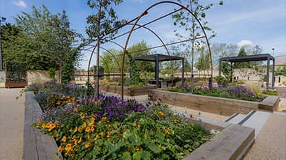 Raised beds filled with flowers and plants in the walled garden at Frenchay.