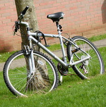 Bicycle propped up against a tree trunk.
