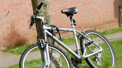 Bicycle kept against a tree trunk.