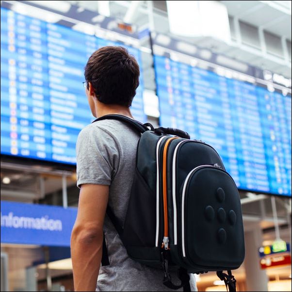 Student looking at a departure board in the airport