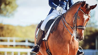 Equestrian club at UWE Bristol.
