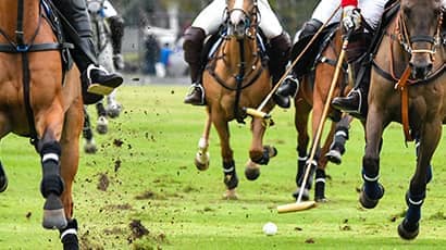 Team UWE Polo at UWE Bristol.