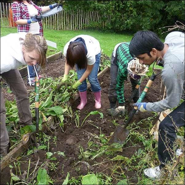 Volunteers helping in a community garden.