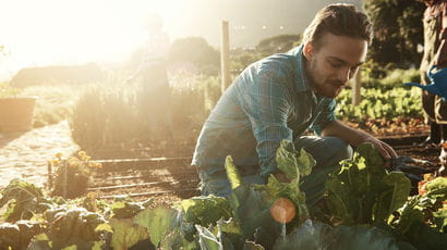 student volunteering in a garden