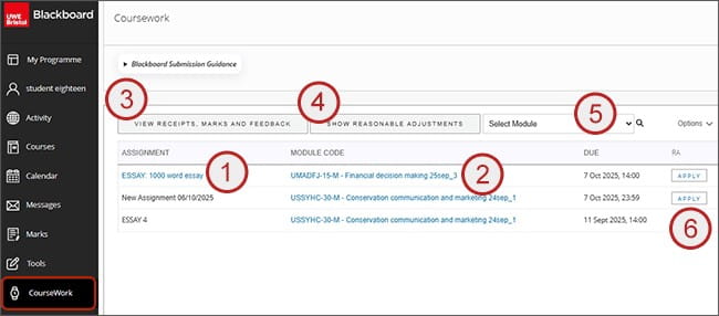 Screenshot showing steps 1 to 6: Blackboard coursework area