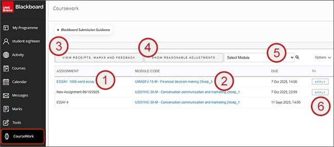 Screenshot showing steps 1 to 6: Blackboard coursework area