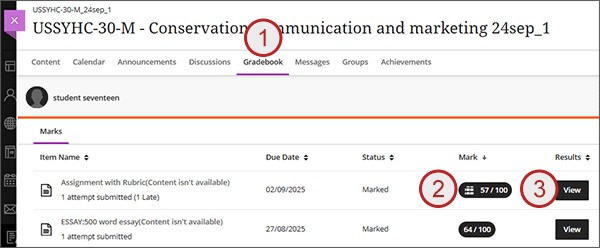 Screenshot of rubric view: steps 1, 2, 3.