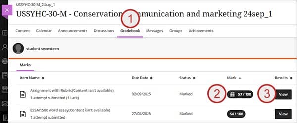 Screenshot of rubric view: steps 1, 2, 3.