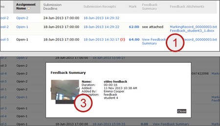 Screenshot of steps 1 and 3: feedback summary.